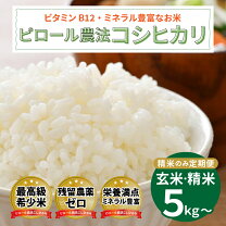 楽天市場】精米 5kgの通販