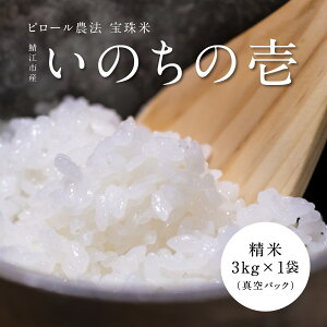 yӂ邳Ɣ[Łzyߘa7NYzs[_@  ̂̈[C-08205] /ʍ͔| s[ w엿sgp c_[