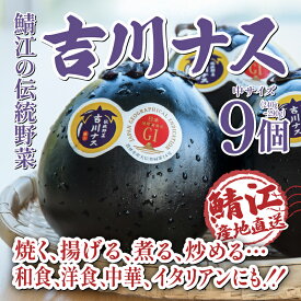 【ふるさと納税】期間限定 吉川ナス 1箱（9個入）/ 丸ナス なす 茄子 伝統野菜 野菜［A-05906］