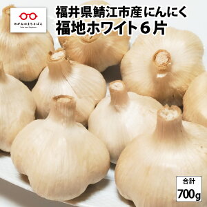 yӂ邳Ɣ[Łz䌧I]sY nzCg6 ɂɂ700g / jjN Y   K[bN [A-10203]