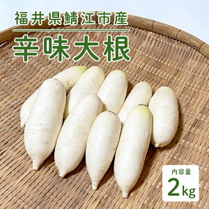 yӂ邳Ɣ[Łz낵΂ɍœK! 䌧Y h卪 2kg [A-10204]/낵 h卪  