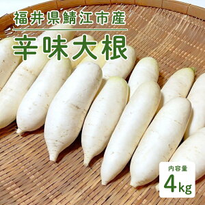 yӂ邳Ɣ[Łz낵΂ɍœK! 䌧Y h卪 4kg [B-10201]/낵 h卪  