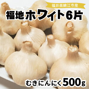 yӂ邳Ɣ[Łz䌧YnzCg6Ђނɂɂ 500g/jjN Y   K[bN y C^A   ӂ邳Ɣ[ [A-10205]