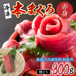 yӂ邳Ɣ[Łzyhgpz{}O Ԑg 300giǂjyŐV̗ⓀZpz/ Y O }O [B-11012]