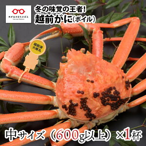 yӂ邳Ɣ[Łzy113܂ł̓ʉiIzy11{ȍ~\zk̓~̖ỏҁIzOɁiIXju킢ɁvTCY600gȏ × 1t [E-11007] /  Jj Mtg O