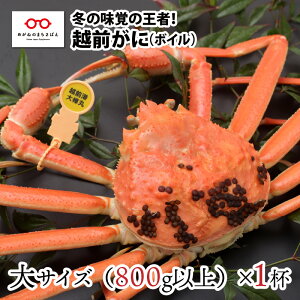 yӂ邳Ɣ[Łzy113܂ł̓ʉiIzy11{ȍ~\zk̓~̖ỏҁIzOɁiIXju킢ɁvTCY800gȏ × 1t [E-11006] /  Jj Mtg O