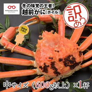 yӂ邳Ɣ[Łzy113܂ł̓ʉiIzy11{ȍ~\zk̓~̖ỏҁIzOɁiIXju킢Ɂv󂠂 TCY 600gȏ × 1t [D-11012] /  Jj Mt