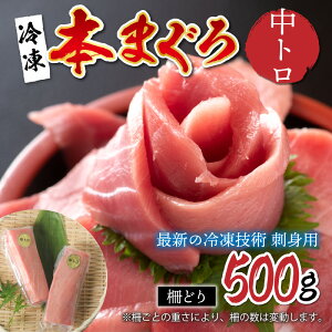 yӂ邳Ɣ[Łzyhgpz{}O g 500giǂjyŐV̗ⓀZpz/ {}O Y  Mtg j v[g  O hg   [C-11006]