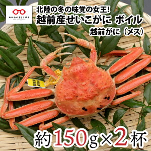 yӂ邳Ɣ[Łzy113܂ł̓ʉiIzy11{ȍ~\zk̓~̖ỏҁIzOɁiXjuɁv150gO × 2t [A-11022] /  Jj Mtg O ① 