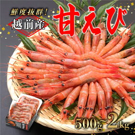【ふるさと納税】【選べる容量！】【小分け】越前産冷凍甘えび 500g / 1.0kg / 1.5kg / 2.0kg [C-11012] / 甘えび 甘エビ えび 甘エビ 海老 海鮮 刺身 冷凍 人気 福井県鯖江市