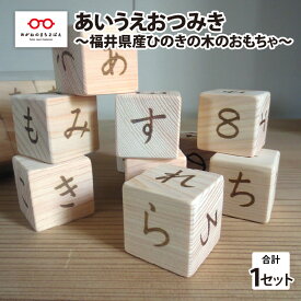 【ふるさと納税】あいうえおつみき〜福井県産ひのきの木のおもちゃ〜 [B-06805]