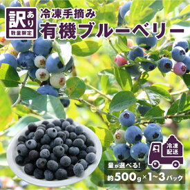 【ふるさと納税】【先行予約】【7月中旬以降順次発送】＜選べる内容量＞【訳あり】令和8年産〈冷凍〉手摘み有機ブルーベリー（500g × 1〜3パック）[B-11302] 農薬不使用 無農薬 冷凍ブルーベリー 加工用 スムージー スーパーフード 国産 500g 1kg 1.5kg 鯖江市 ふるさと納税
