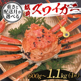 【ふるさと納税】【選べる重さと配送月！】越前ズワイガニ 600g / 700g / 800g / 900g / 1kg / 1.1kg [G-10304] / ズワイガニ ずわいがに 蟹 カニ かに 海鮮 越前ガニ 福井県鯖江市