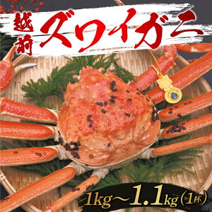 yӂ邳Ɣ[ŁzyIׂdƔzIzzOYCKj 600g / 700g / 800g / 900g / 1kg / 1.1kg [G-10304] / YCKj 킢 I Jj  CN zOKj 䌧I]s