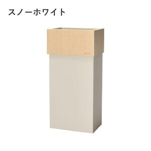 yӂ邳Ɣ[ŁzEldグؐS~uWCUBE30v [D-13501] /  CeA i` S~ _Xg{bNX ؐ 30L ܂Ȃ Vv 䌧I]s