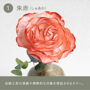 yӂ邳Ɣ[ŁzyIׂJ[zả fBt[U[u΂̐Fƍv[C-06202] / uU[uht[   zOa tOX F  Mtg v[g 