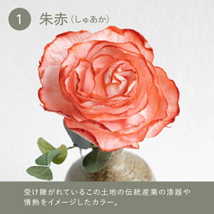 �y�ӂ邳�Ɣ[�Łz�y�I�ׂ�J���[�z�a���̉� �f�B�t���[�U�[�u���΂��̐F�ƍ���v[C-06202] /���� �u���U�[�u�h�t�����[ ���� �� �z�O�a�� �t���O�����X �F���� ������� �M�t�g �v���[���g ��