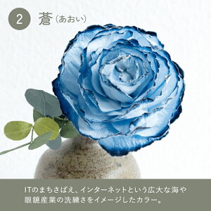 �y�ӂ邳�Ɣ[�Łz�y�I�ׂ�J���[�z�a���̉� �f�B�t���[�U�[�u���΂��̐F�ƍ���v[C-06202] /���� �u���U�[�u�h�t�����[ ���� �� �z�O�a�� �t���O�����X �F���� ������� �M�t�g �v���[���g ��