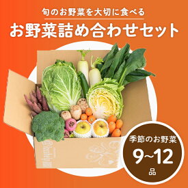 【ふるさと納税】【2025年12月配送】多数のメディアで紹介されました！【訳あり】旬のもったいないお野菜詰め合わせセット[B-16401] / 訳あり 訳アリ ロスヘル 野菜 規格外野菜 冬野菜 やさい サラダ フードロス 果物 くだもの フルーツ 福井県鯖江市