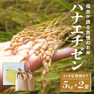 yӂ邳Ɣ[ŁzyʌI10܌̔IIzyIׂz񐔁Izyߘa7NY VāIzniG`[ 5kg×2܁iv10kgj[C-10106] /  V   ؉zO ͂ Ĕ_ _ƒjq N