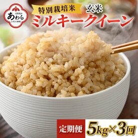 【ふるさと納税】【令和5年産】《定期便3回》特別栽培米 ミルキークイーン 玄米 5kg ／ 農薬不使用 化学肥料不使用 ご飯 北陸 福井県 あわら市産 お米 ブランド米