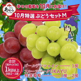 【ふるさと納税】【先行予約】10月特選 ぶどうセットM 1kg以上（2～3房）／ 葡萄 シャインマスカット 完熟 ゴールデン シャイン 品種 おまかせ あわら 農家おすすめ ※2024年10月より順次発送