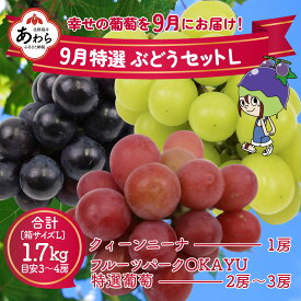 【ふるさと納税】【先行予約】9月特選 ぶどうセットL　1.7kg以上（3～4房）／ 葡萄 クイーンニーナ 品種 おまかせ あわら 農家おすすめ ※2024年9月より順次発送