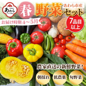 【ふるさと納税】【先行予約】農家直送 春野菜セット 1箱 7品目以上 《元気に育った新鮮野菜！》※2024年4月下旬以降順次発送／ 5000円 季節 春 野菜 ボックス BOX セット セレクト 農家 おまかせ 多品目 旬 詰め合わせ