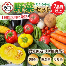 【ふるさと納税】【1週間以内に発送！】農家直送 旬の野菜セット 7品目以上 1箱 ／ 5000円 季節 野菜 ボックス BOX セット セレクト 農家 おまかせ 多品目 旬 詰め合わせ 根菜 葉物