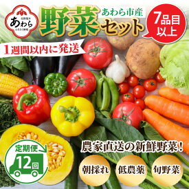 【ふるさと納税】【12ヶ月連続お届け】農家直送 旬の野菜セット 7品目以上 1箱 ／ 定期便 12回 季節 野菜 ボックス BOX セット セレクト 農家 おまかせ 多品目 旬 詰め合わせ 根菜 葉物