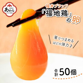 【ふるさと納税】濃厚で甘くておいしい！ 福井ブランド「福地鶏」の卵 50個（25個入×2段）