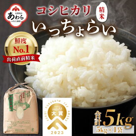 【先行予約】【ふるさと納税】【令和6年産新米】いっちょらい 精米 5kg ／ 福井県産 ブランド米 コシヒカリ ご飯 白米 新鮮 大賞 受賞 新米 福井県あわら産 ※2024年9月中旬以降順次発送予定