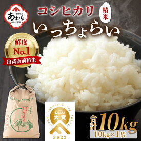 【先行予約】【ふるさと納税】【令和6年産新米】いっちょらい 精米 10kg×1袋 ／ 福井県産 ブランド米 コシヒカリ ご飯 白米 新鮮 大賞 受賞 新米 福井県あわら産 ※2024年9月中旬以降順次発送予定