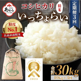 【先行予約】【ふるさと納税】【令和6年産新米】《定期便3回》いっちょらい 精米 10kg（計30kg）／ 福井県産 ブランド米 コシヒカリ ご飯 白米 新鮮 大賞 受賞 新米 福井県あわら産 ※2024年9月中旬以降順次発送予定