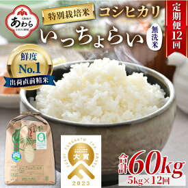 【ふるさと納税】【令和5年産】《定期便12回》特別栽培米 いっちょらい 無洗米 5kg（計60kg）／ 福井県産 ブランド米 コシヒカリ ご飯 白米 新鮮 大賞 受賞