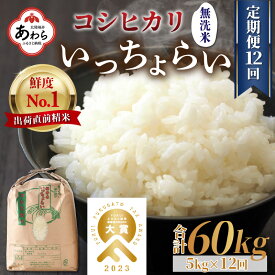 【ふるさと納税】【令和5年産】《定期便12回》いっちょらい 無洗米 5kg（計60kg） ／ 福井県産 ブランド米 コシヒカリ ご飯 白米 新鮮 大賞 受賞