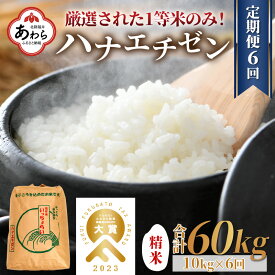 【先行予約】【ふるさと納税】【一等米】令和6年産 ＜定期便6回＞ ハナエチゼン 精米 10kg×6回（60kg）《発送直前精米！》 / 福井県 あわら 北陸 米 お米 人気 大賞 受賞 新米 華越前 ※2024年9月上旬以降順次発送予定