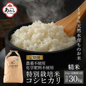 【ふるさと納税】【先行予約】【令和6年産】《定期便6回》コシヒカリ 精米 5kg（計30kg） 特別栽培米 化学肥料不使用 / 伊与衛門農園の特別栽培米 高品質 鮮度抜群 福井県 あわら市産 ブランド米 R6 新米 北陸 白米 お米 ご飯 ※2024年9月下旬以降順次発送予定