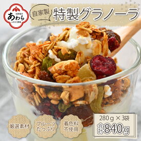 【ふるさと納税】自家製 フルーツグラノーラ 280g×3袋（計840g）《配合や素材にこだわり1つ1つ手作り！》／ 無添加 無着色 オーガニック 果物 ドライフルーツ オートミール ヨーグルト 牛乳