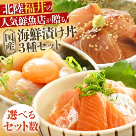 【ふるさと納税】人気鮮魚店が贈る！海鮮漬け丼 3種セット 【選べるセット数：1セット / 2セット 】／ 海鮮丼 鯛 サーモン さわら はまち ぶり あじ 冷凍パック 漬け丼 海鮮丼 魚 バラエティ 簡単 便利 小分け 個包装 流水解凍 冷凍 お取り寄せ 送料無料