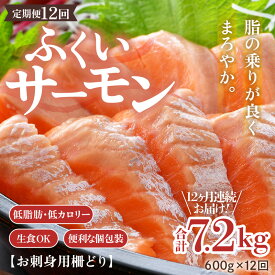 【ふるさと納税】《定期便12回》ふくいサーモン 柵どり 150g×4パック 計600g ＜鮮度抜群！真空冷凍＞ ／ 生食OK 刺身 鮭 国産