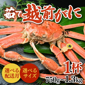 yӂ邳Ɣ[Łzys\zYCKj {C zO yTCYEIׂz1t 750g`900giTCYȏj/ 1.1kg`1.3kgiTCYȏjsVNI䥂łĂ𔭑t^ zOKj 