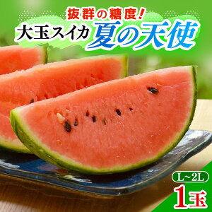 yӂ邳Ɣ[Łzys\zʃXCJuĂ̓Vgv 1ʓiL~2LjQ̓xŊÂI^ Ԍ ʕ t[c Z Yn 2026N7{菇