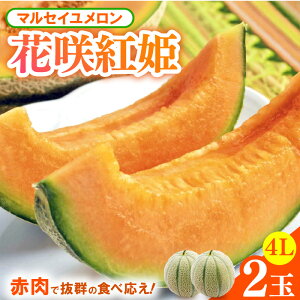 yӂ邳Ɣ[Łzys\z}ZC 2ʓ 4LTCY 2026N6{菇 ^  t[c ʕ ԓ ԍgP p v[g 蕨 Y Ԍ Yn lC