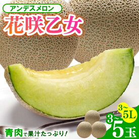 【ふるさと納税】【先行予約】3～5玉入 アンデスメロン 花咲乙女 《甘くまろやか！青肉で果汁たっぷり》／ 期間限定 果物 フルーツ 青肉 産地直送 ※2027年6月下旬より順次発送