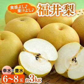 【ふるさと納税】【先行予約】福井梨 3kg 6～8玉入 《幸水梨 豊水梨どちらかのお届け！》 ／ 期間限定 果物 フルーツ 産地直送 旬 お取り寄せ ※2026年8月下旬頃より発送