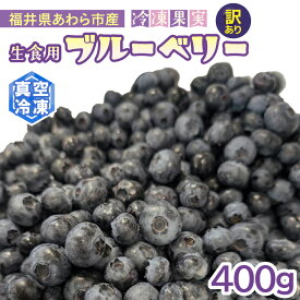 【ふるさと納税】【訳あり】冷凍果実 福井県あわら市産 生食用ブルーベリー 真空冷凍 400g / ブルーベリー 冷凍 国産 目の健康 大粒 抗酸化作用 フルーツ 果物 お取り寄せ