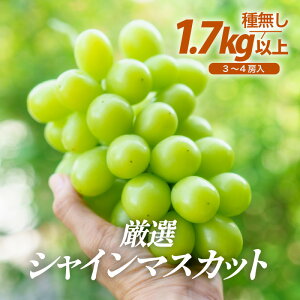 yӂ邳Ɣ[Łzys\zIVC}XJbg 1.7kgȏi3`4[jyȂzt[cp[NOKAYU 2025N9{菇