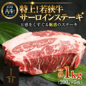 yӂ邳Ɣ[ŁzIዷT[CXe[L 200g ×5 ^ Xe[L Xe[L A4 A5 1000g 1kg T[C T[CXe[L Y ዷ  a јa ~ uh 䌧 