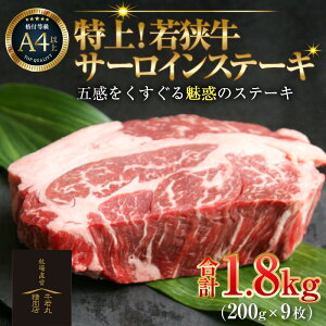 yӂ邳Ɣ[ŁzIዷT[CXe[L 200g ×9 ^ Xe[L Xe[L A4 A5 1800g 1.8kg T[C T[CXe[L Y ዷ  a јa ~ uh 䌧 